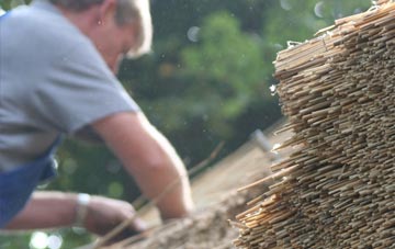 professional Benhilton thatchers